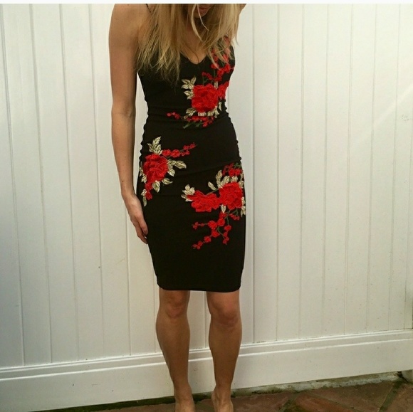 rose embroidered bodycon dress